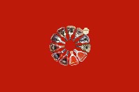 山南市贡嘎县回收红酒